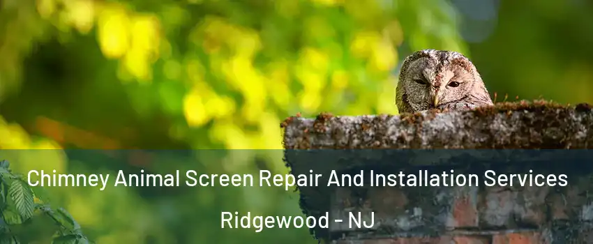  Chimney Animal Screen Repair And Installation Services Ridgewood - NJ
