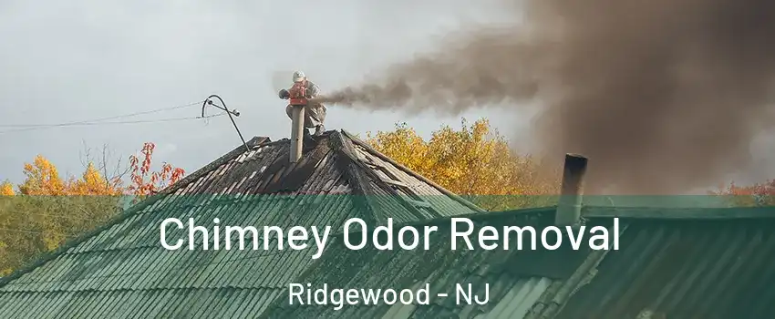  Chimney Odor Removal Ridgewood - NJ