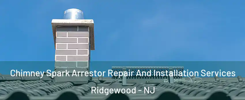 Chimney Spark Arrestor Repair And Installation Services Ridgewood - NJ