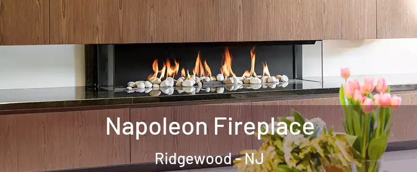  Napoleon Fireplace Ridgewood - NJ